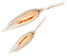 del-el