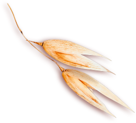 del-el