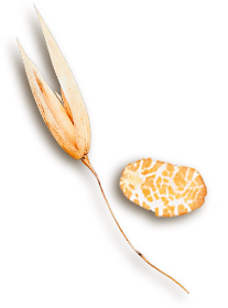 del-el
